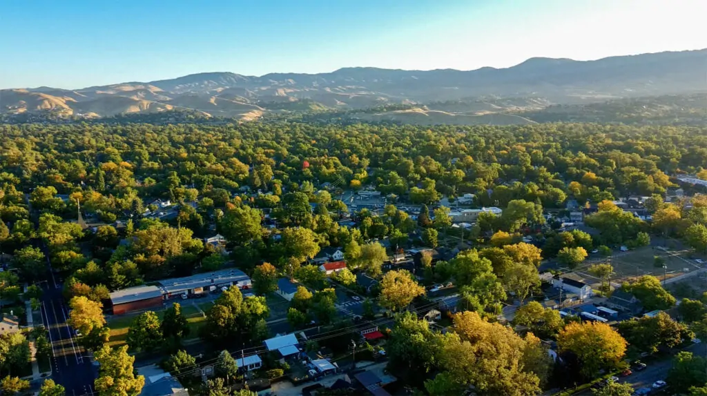 A high-angle drone photograph of Boise’s residential neighborhoods and mature tree canopy, representing the stable physical foundation required for a healthy city.